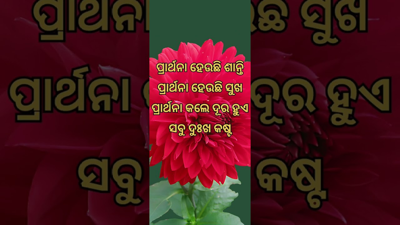 ajira anuchinta#odia motivational Quotes#odia motivational video# Shorts #odia