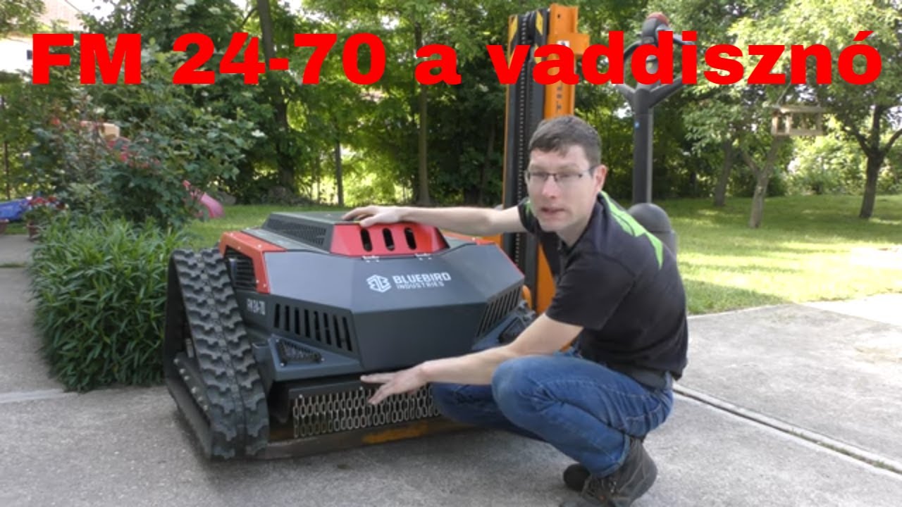 Vaddisznó a fűben, avagy Bluebird FM 24-70 by Péter Láncfűrész Kft