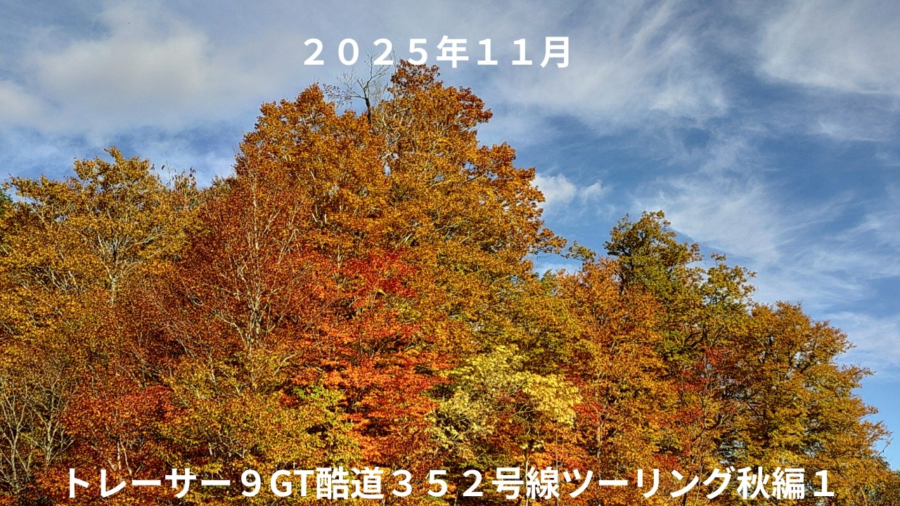 ２０２５年１１月トレーサー９GT酷道３５２号線ツーリング秋編１