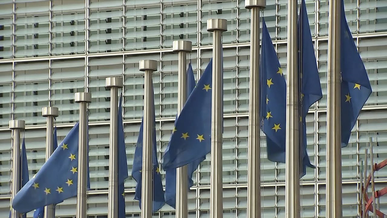 GLOBALink | MEP blasts EU for adopting double standards on Russia-Ukraine conflict