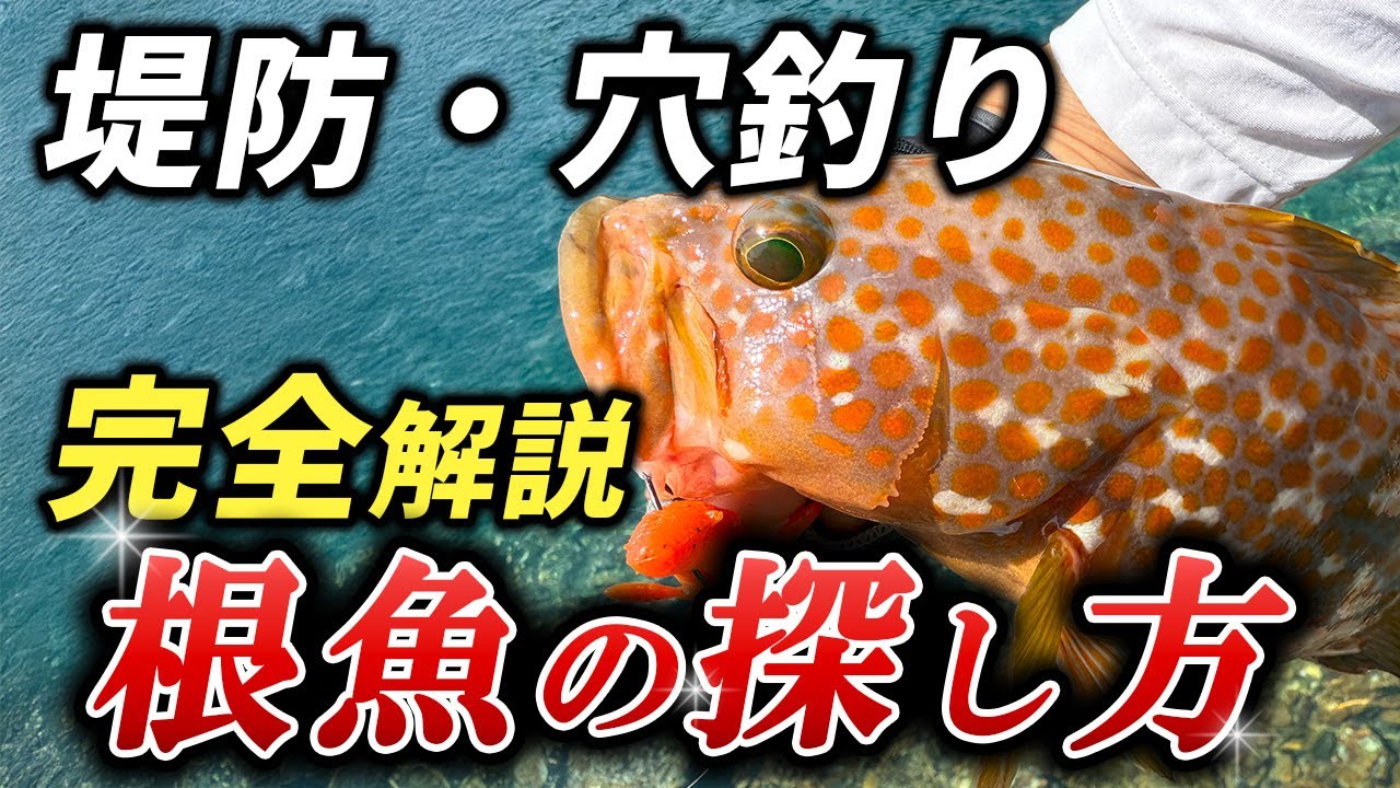 【保存版】堤防・穴釣りで根魚(ロックフィッシュ)が釣れる場所・ポイント探し完全解説