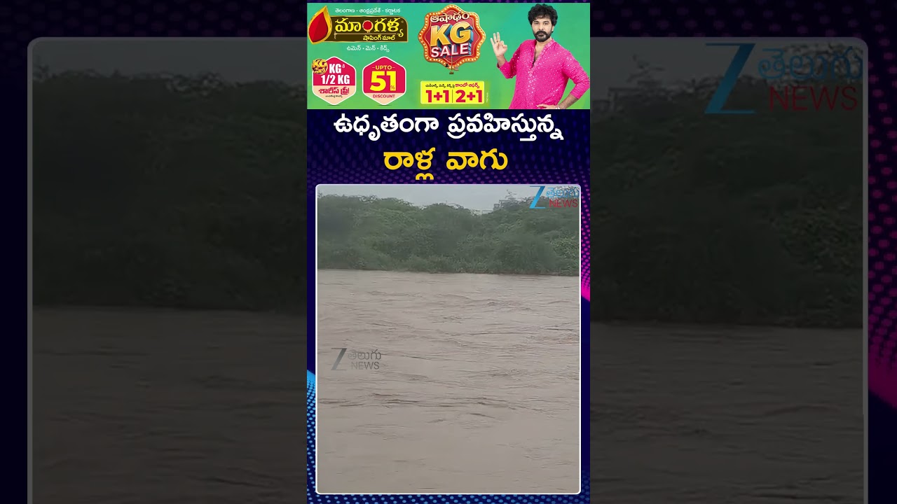 Heavy Floods At Mancherial District | Ralla Vagu | ఉధృతంగా ప్రవహిస్తున్న రాళ్ల వాగు | Zee Telugu