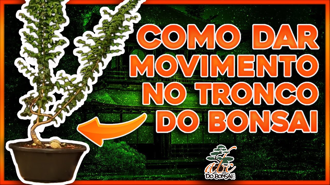 COMO DAR MOVIMENTO NO TRONCO DO BONSAI - PARTE 2