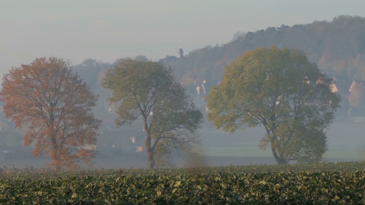 Liebenburg - Impressionen  aus dem Harzer Vorland (4K-Video P20 Pro/FZ2000)