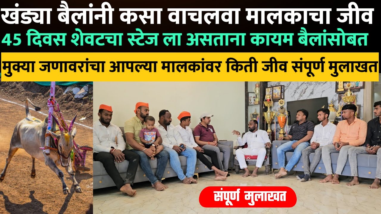 खंड्या बैलांनी कसा वाचवला मालकाचा जीव | पहा खंड्या बैल‌ आणि बैलांचा दावणीची मुलाखत #bailgada​ 