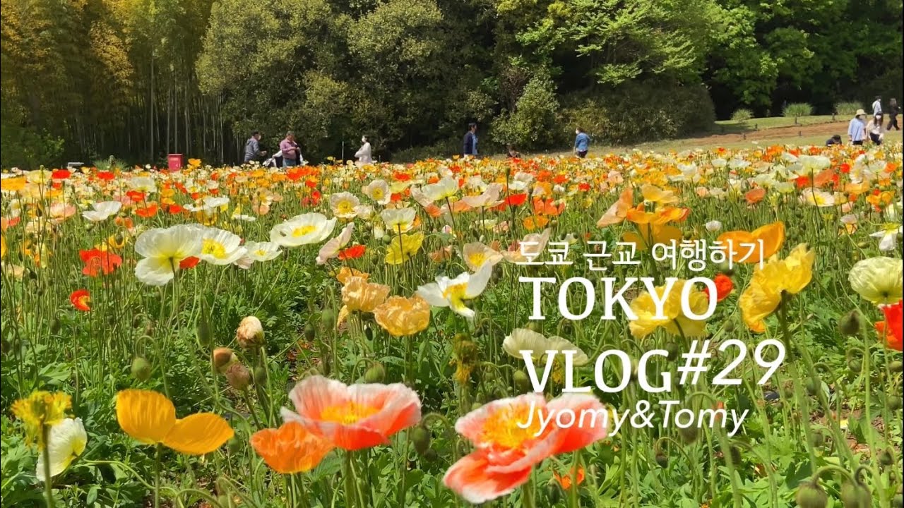 도쿄 브이로그#29 도쿄 근교여행 (일본에서 하는 글램핑 , 무사시큐료 산림공원 , 요코하마 차이나타운 ) by Jyomy& Tomy
