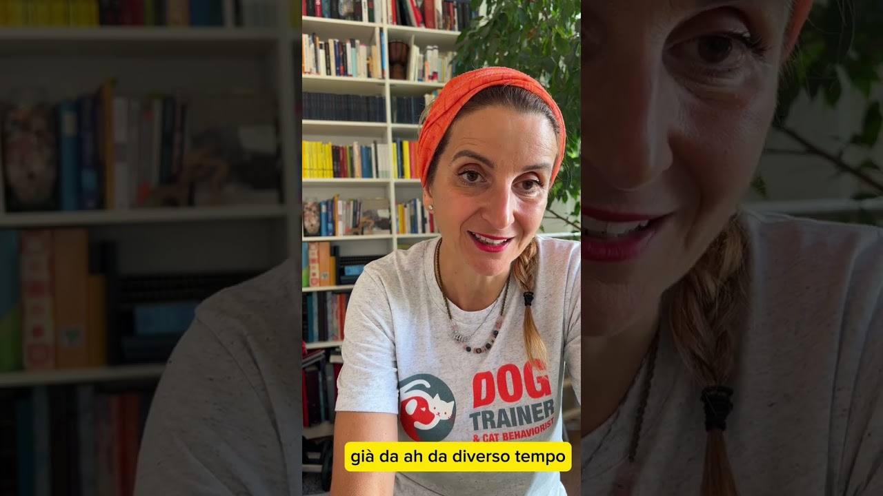 Come riconoscere un bravo allevatore di cani?