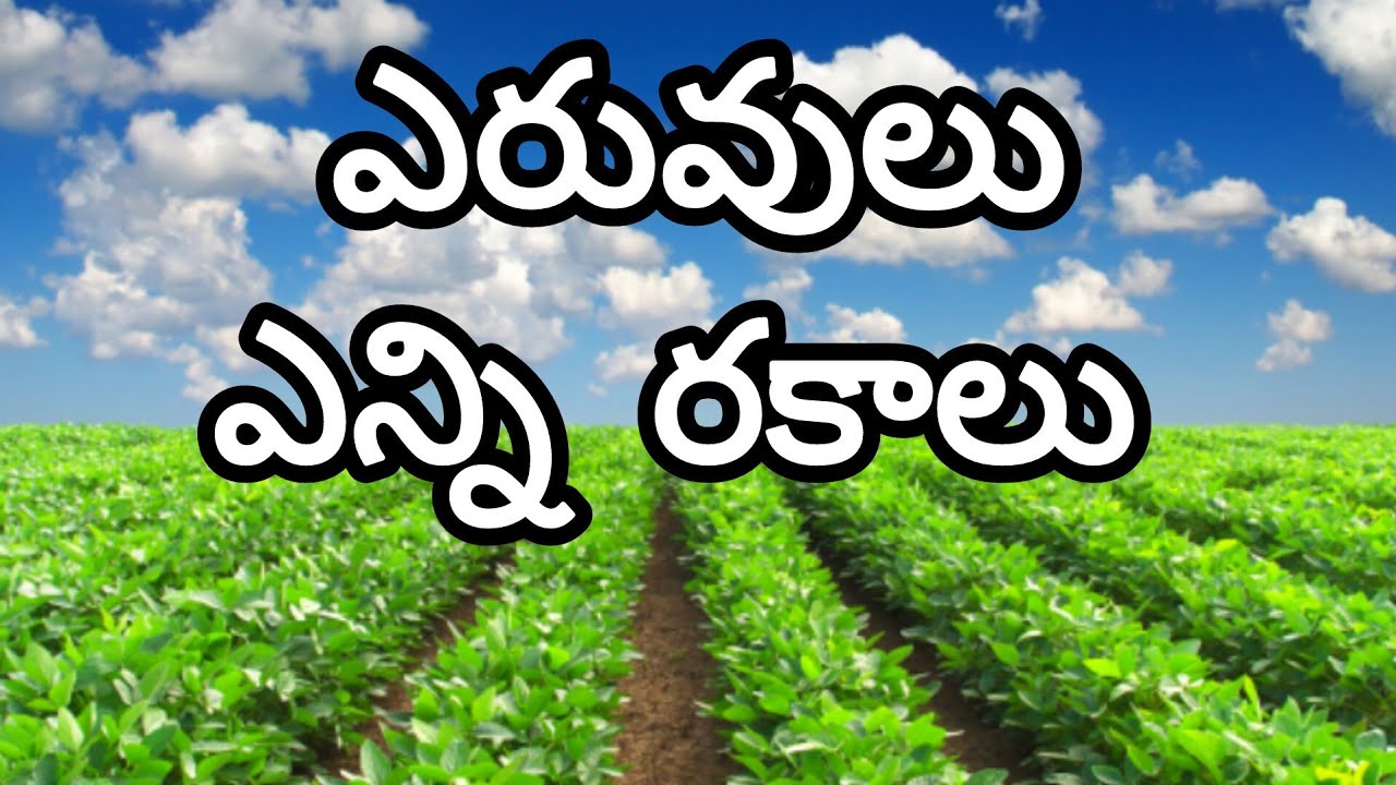 ఎరువుల యెన్ని రకాలు ? fertilizers | పోషకాలు | management | రైతు సేద్యం | Rythu Sedyam | #india