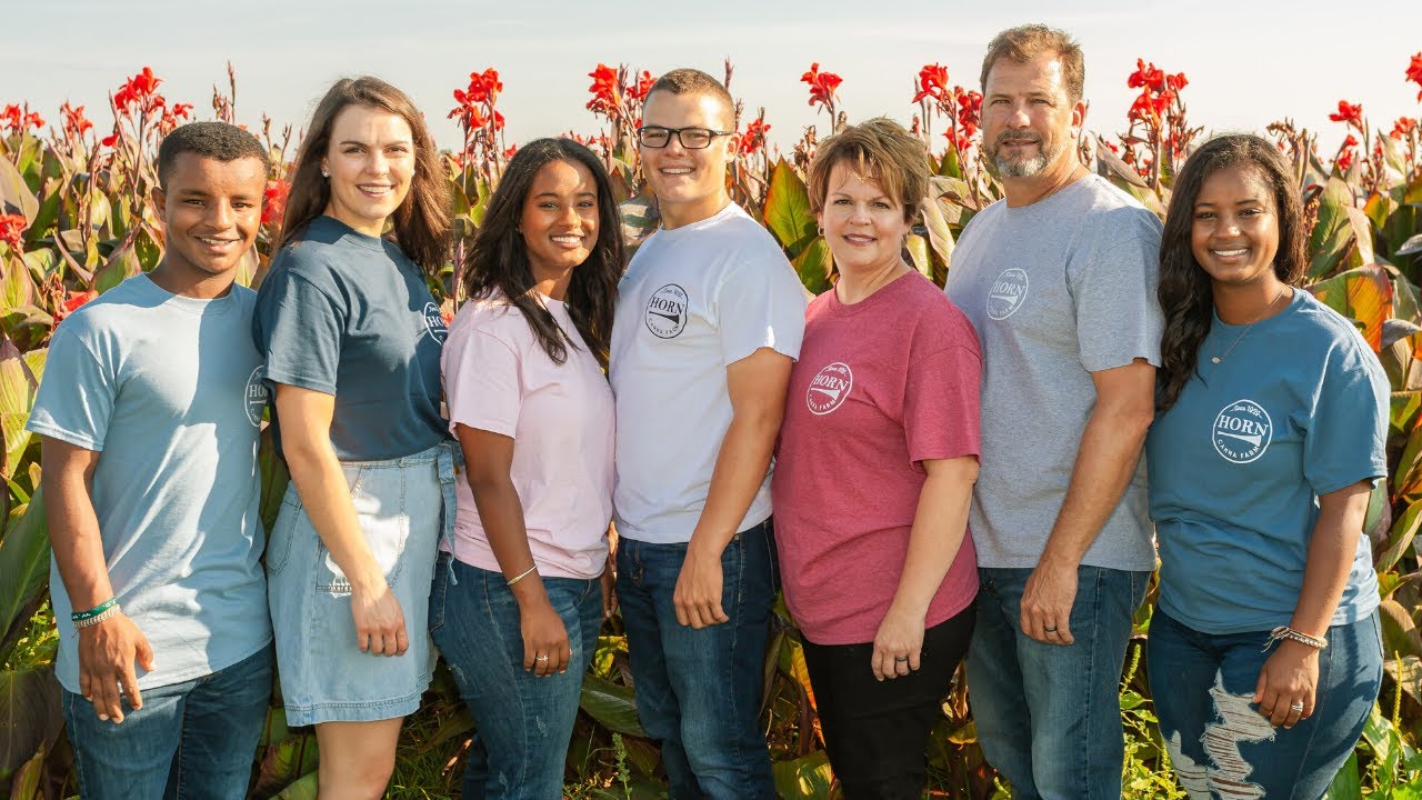 How to Plant Cannas