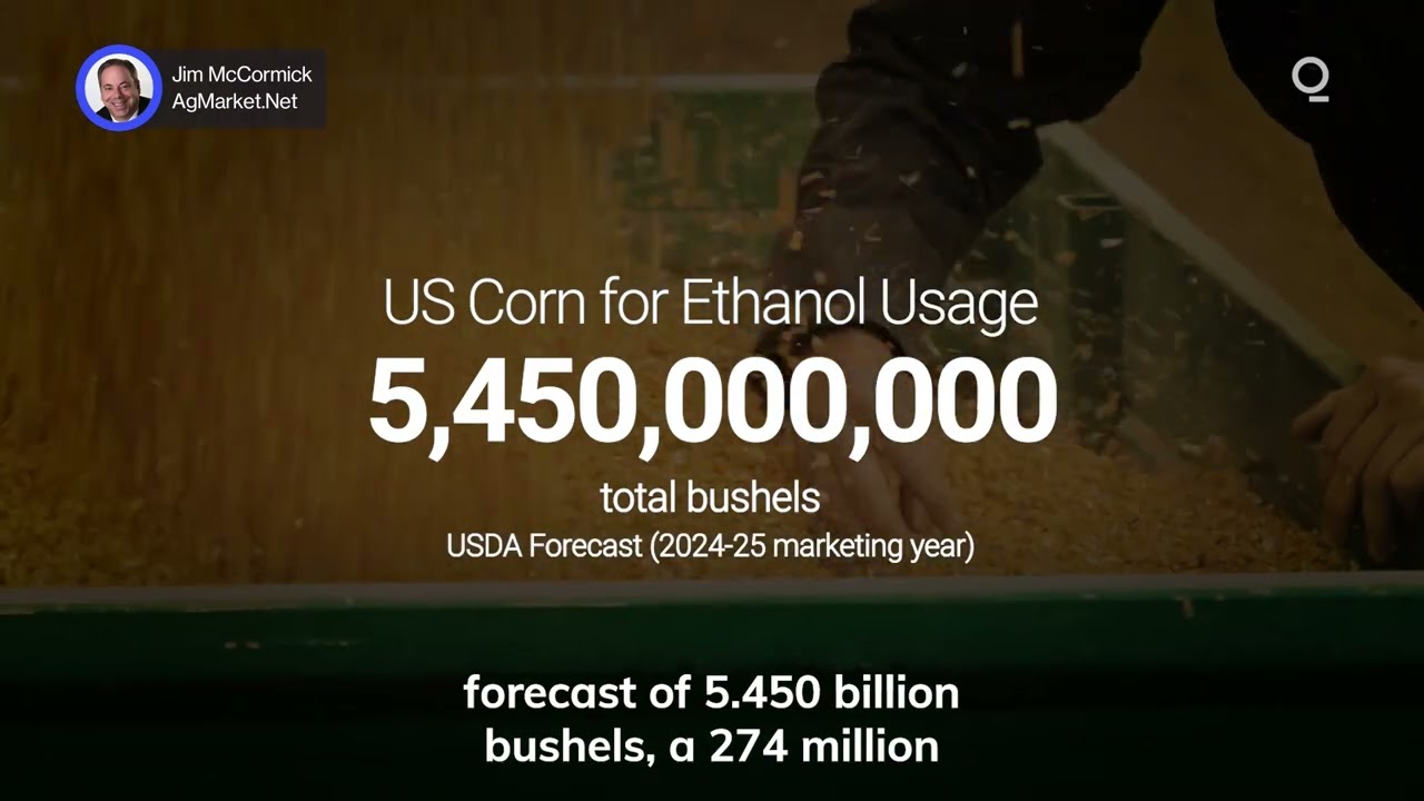 US Ethanol Output Is Booming | Presented by CME Group