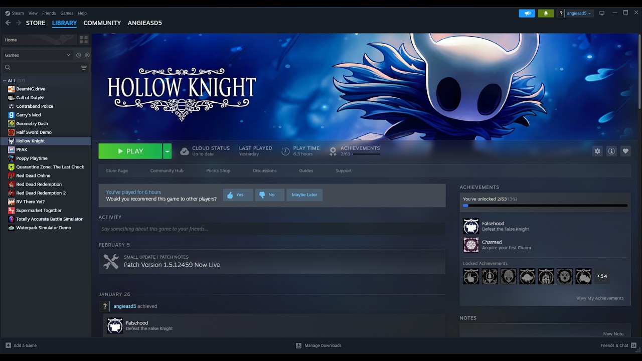 playing hollow knight