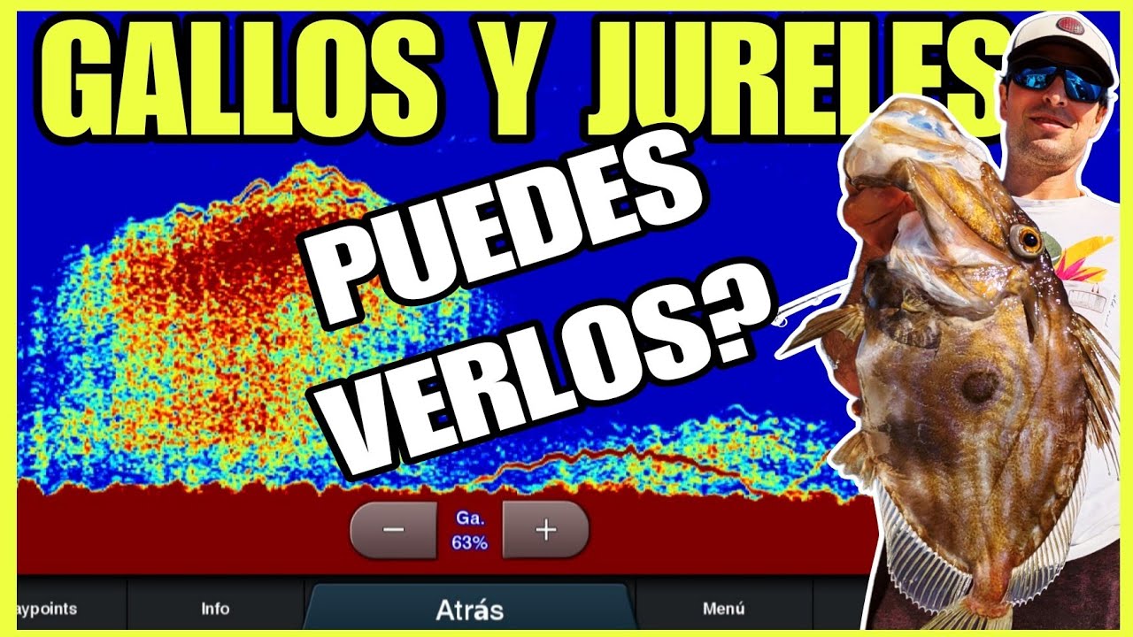 Pesca al VIVO del GALLO DE SAN PEDRO: Cómo LEER la Sonda y Azuelos en TÁNDEM 