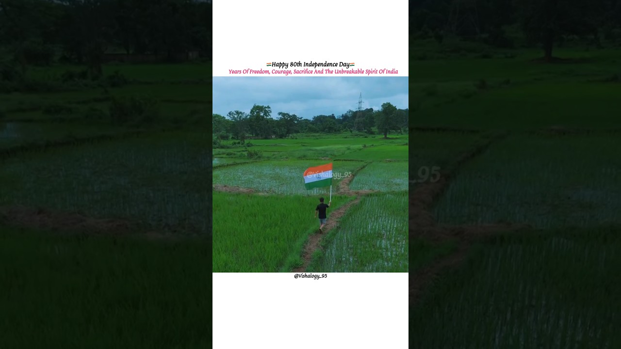 India's 80th Independence Day🇮🇳🫡 #vishalogy_95 #15august #india #shorts #tiranga