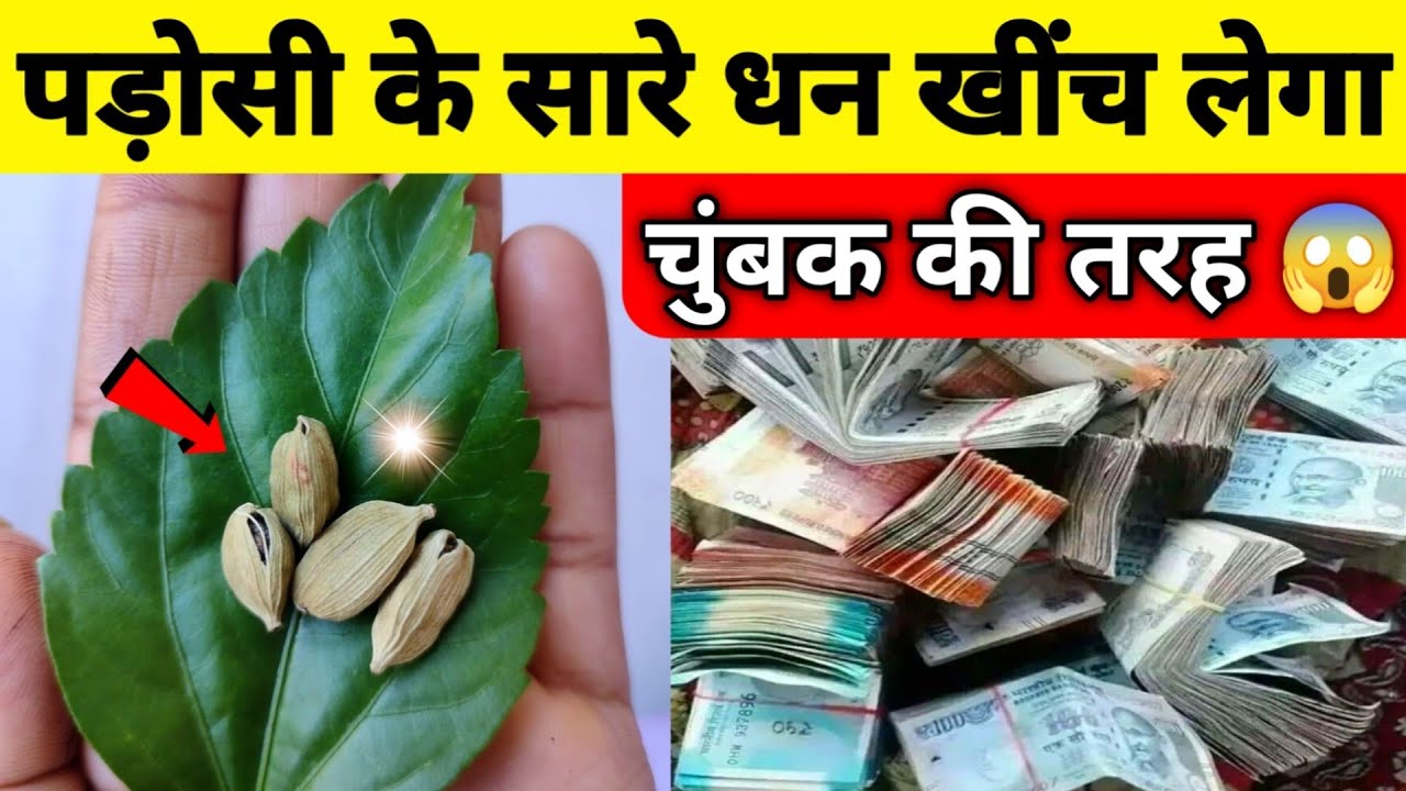 दो इलायची इस जगह पर रख देना चुंबक की तरह इतना पैसा खीचेगा कि संभाल नहीं पाओगे/ Vastu Shastra