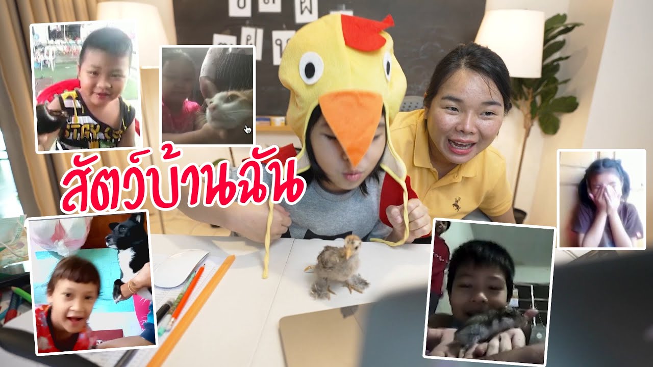 สัตว์ที่บ้านฉัน | ครูนกเล็ก