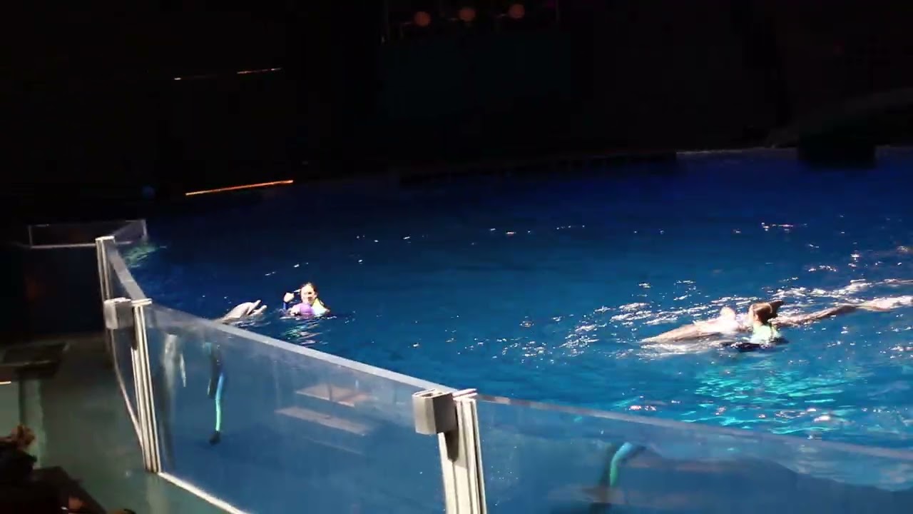 Georgia aquarium