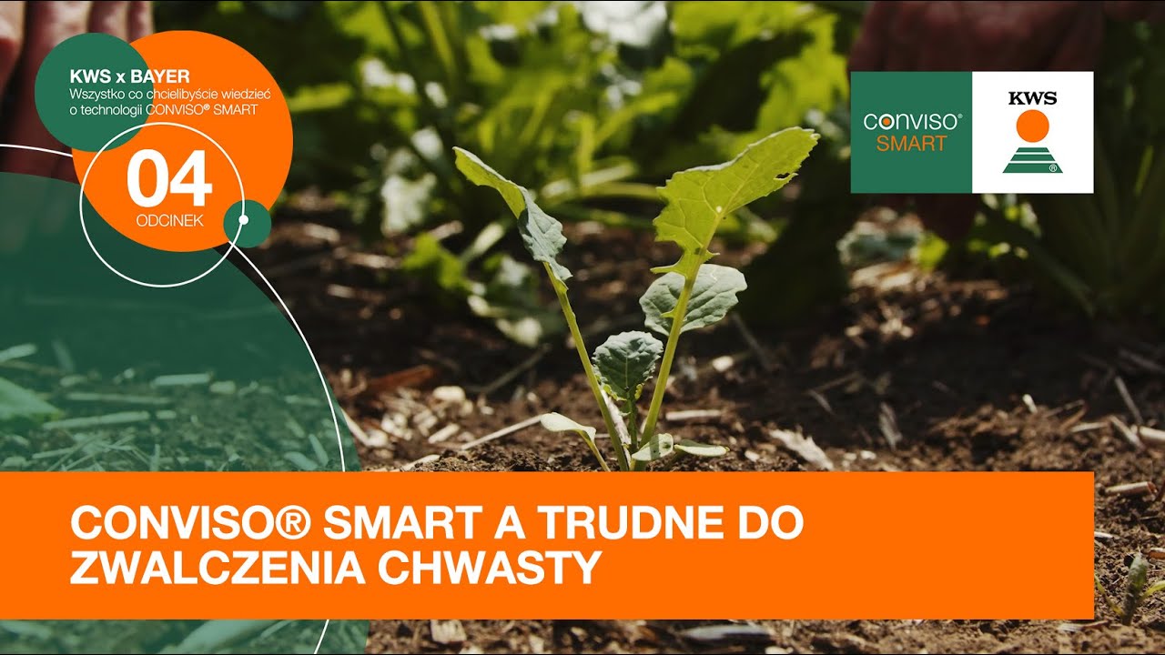 CONVISO&reg; SMART a trudne do zwalczenia chwasty / KWS x BAYER odc. 4