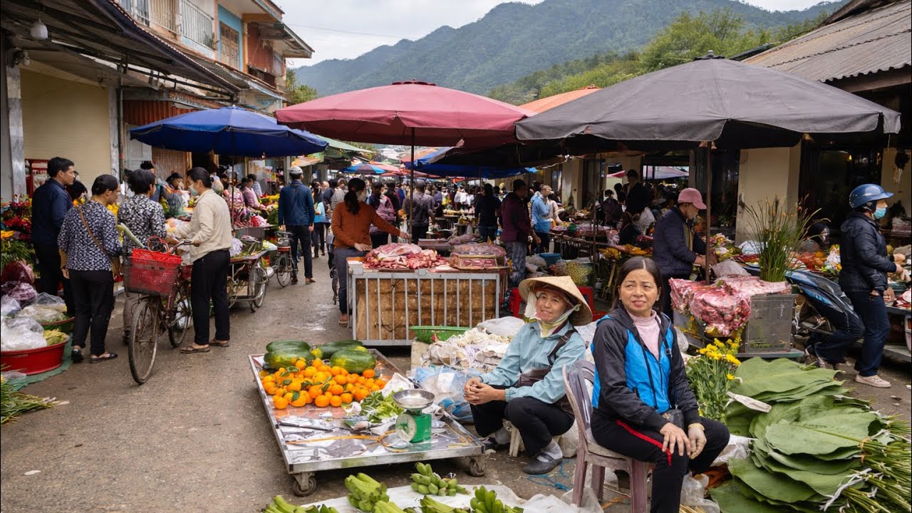HỌ MARKET -AUTHENTIC DAILY LIFE IN A LOCAL VIETNAMESE MARKET