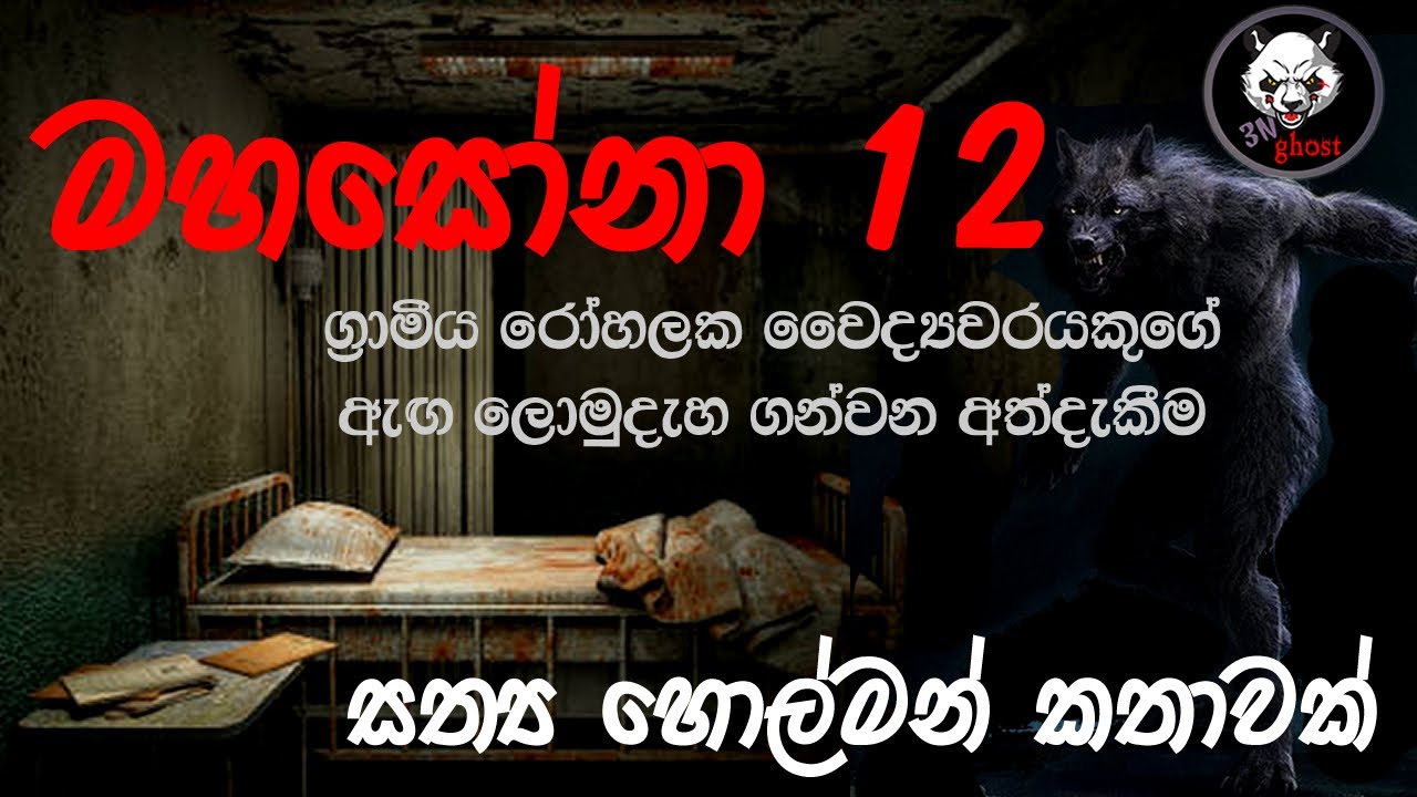 මහසෝනා 12 (මිනී කාමරය) | Holman katha | @3NGhost |  Sinhala holman katha | ghost story 282