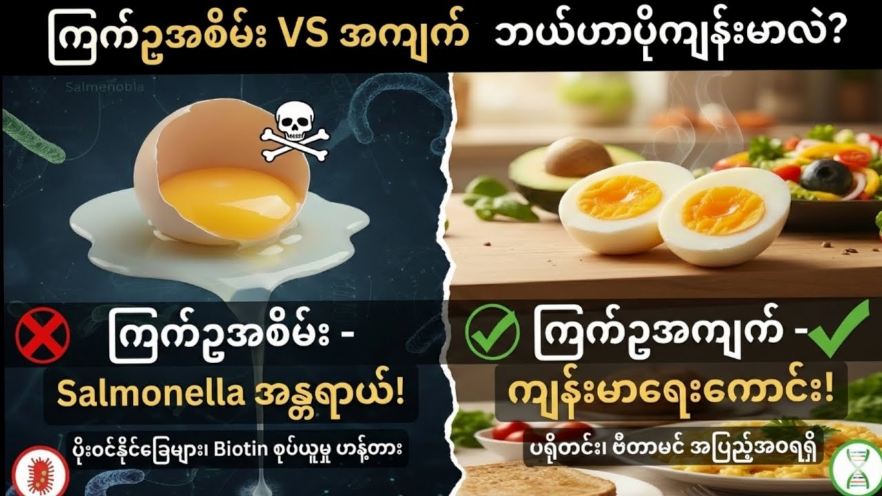 **ကြက်ဥအစိမ်း**‌ သောက်တာ အားရှိတယ်ဆိုပြီး သောက်နေတဲ့ သူတွေ  ဒီvideoကို ကြည့်ဖြစ်အောင်ကြည့်လိုက်ပါ