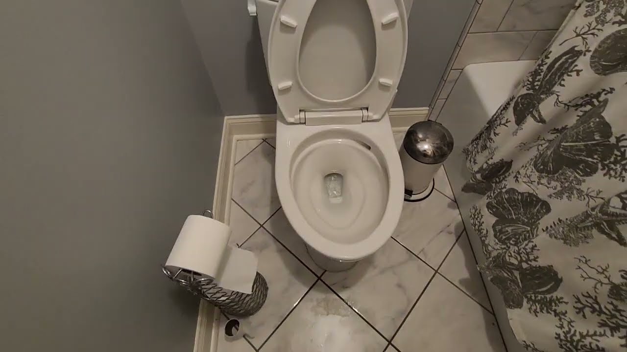 10. 2010's Toto Drake II toilet