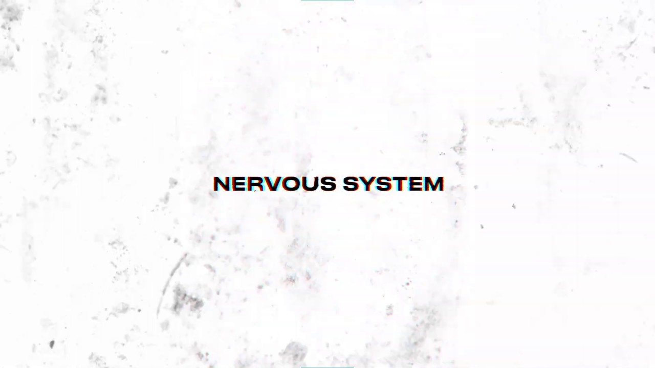 Circuits - Nervous System