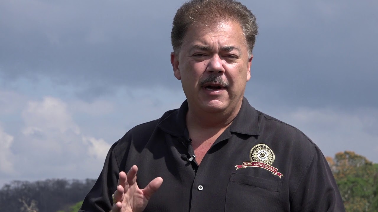 Nick Perdomo Explains the Anatomy of a Tobacco Plant At 28 Days After Transplant