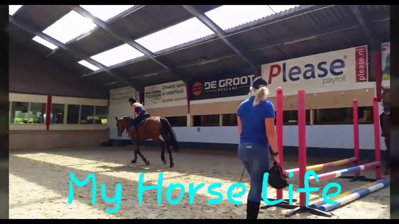 7 type kinderen tijdens het inpakken van hun koffer❤ || My Horse Life