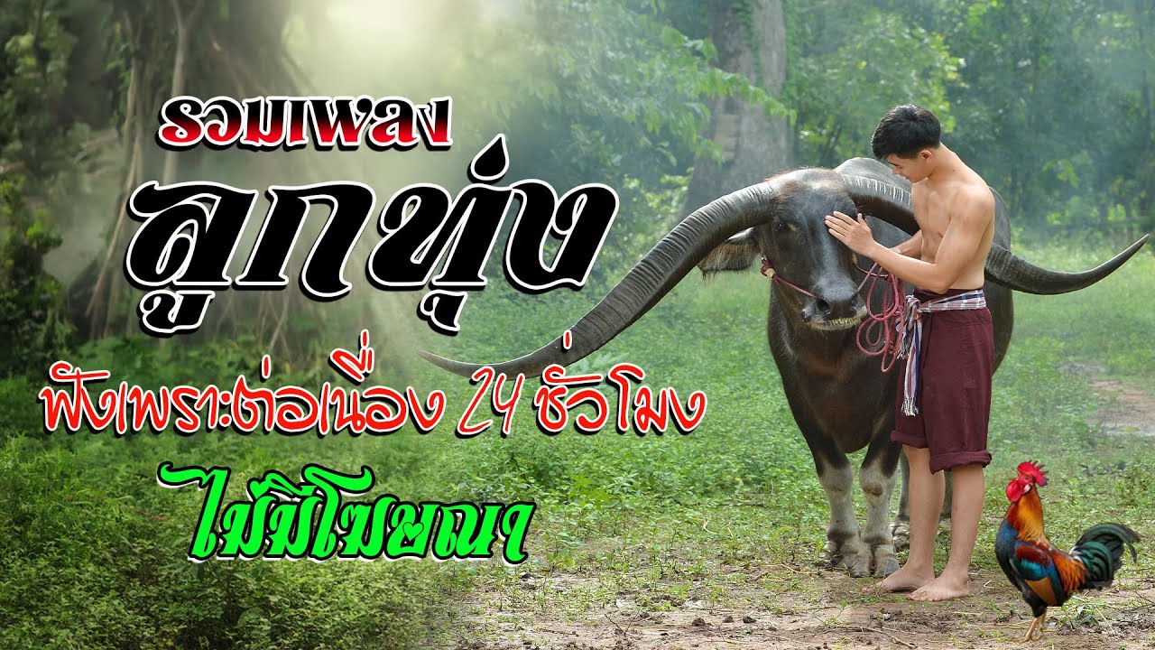 รวมเพลงลูกทุ่งฟังเพราะต่อเนื่อง 24 ชั่วโมง