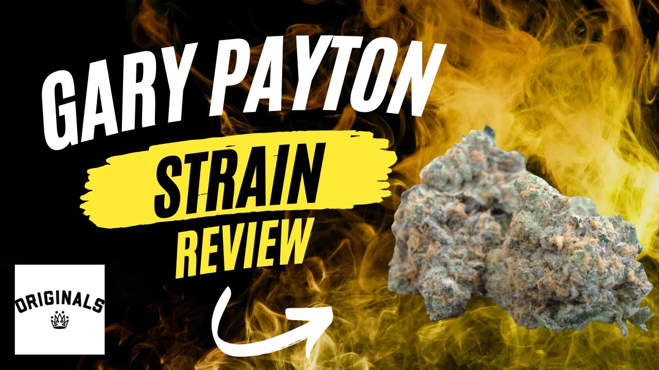 the dumbest (and best) strain ever? reviewing gary payton!