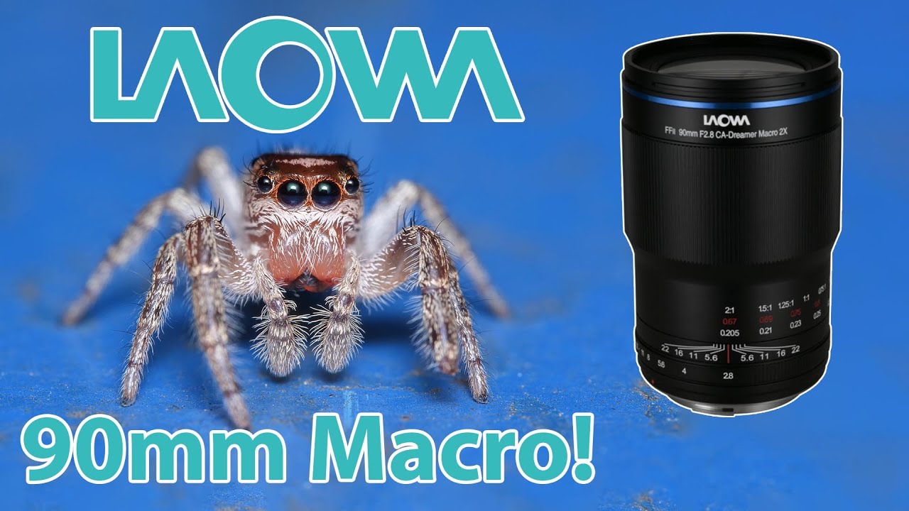Laowa 90mm f/2.8 2x Macro Lens Review using the Sony a6700