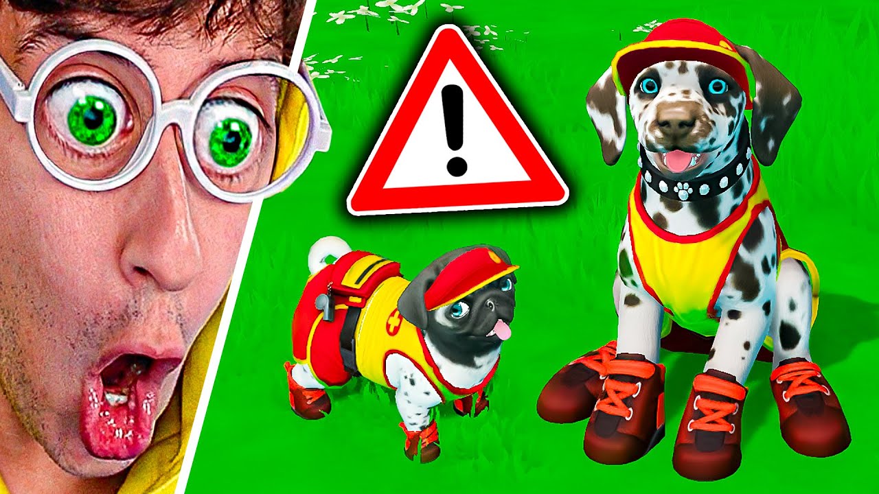 Consigo PERRO SOCORRISTA🚨👮‍♂️!! (nueva mascota 🐶) - TEKENDO