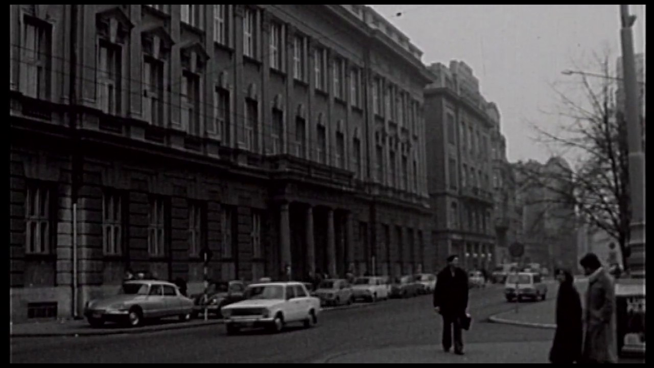 Socijalizam ili kapitalizam: Dimitrije Tasić