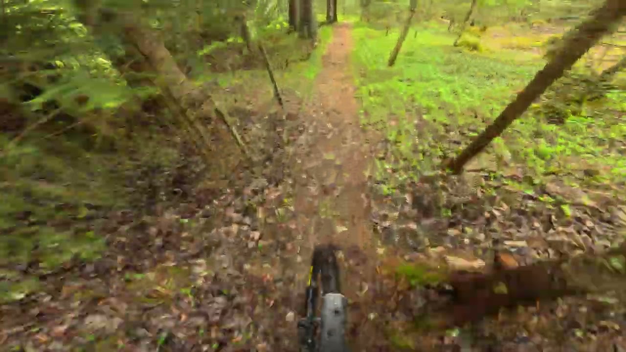 Enduro trails in Trysil