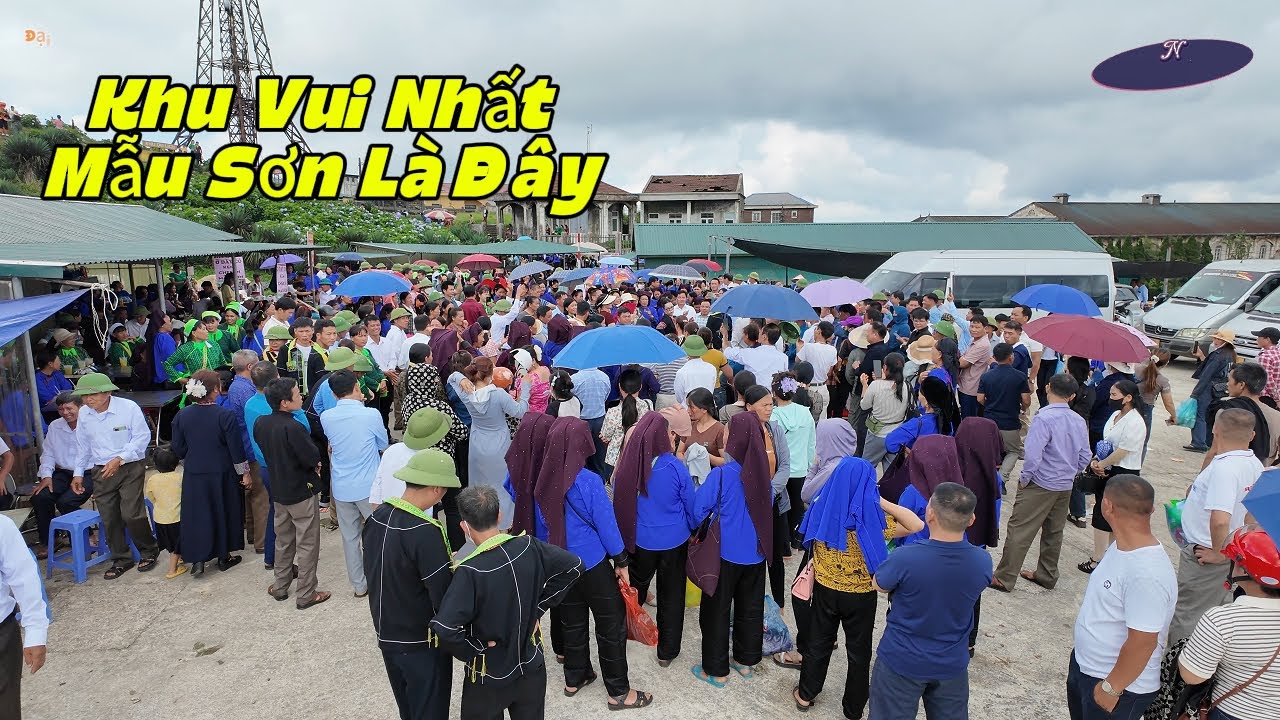 Vũ Điệu Nhạc Mẫu Sơn 2025 - Lựa Chọn TỐT NHẤT Cho Người Y&ecirc;u Nhạc!