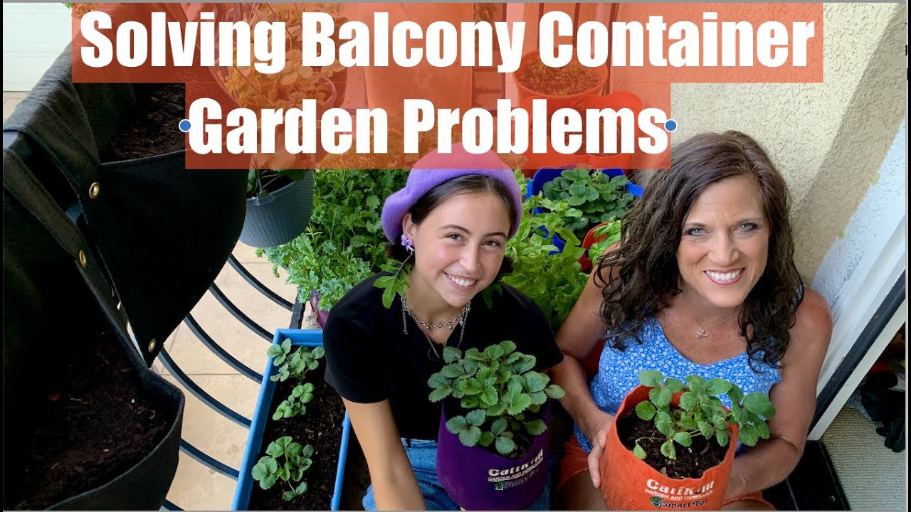 Solving A First Time Gardener’s Balcony Container Garden Problems / Container Garden Series #5🌱☀️