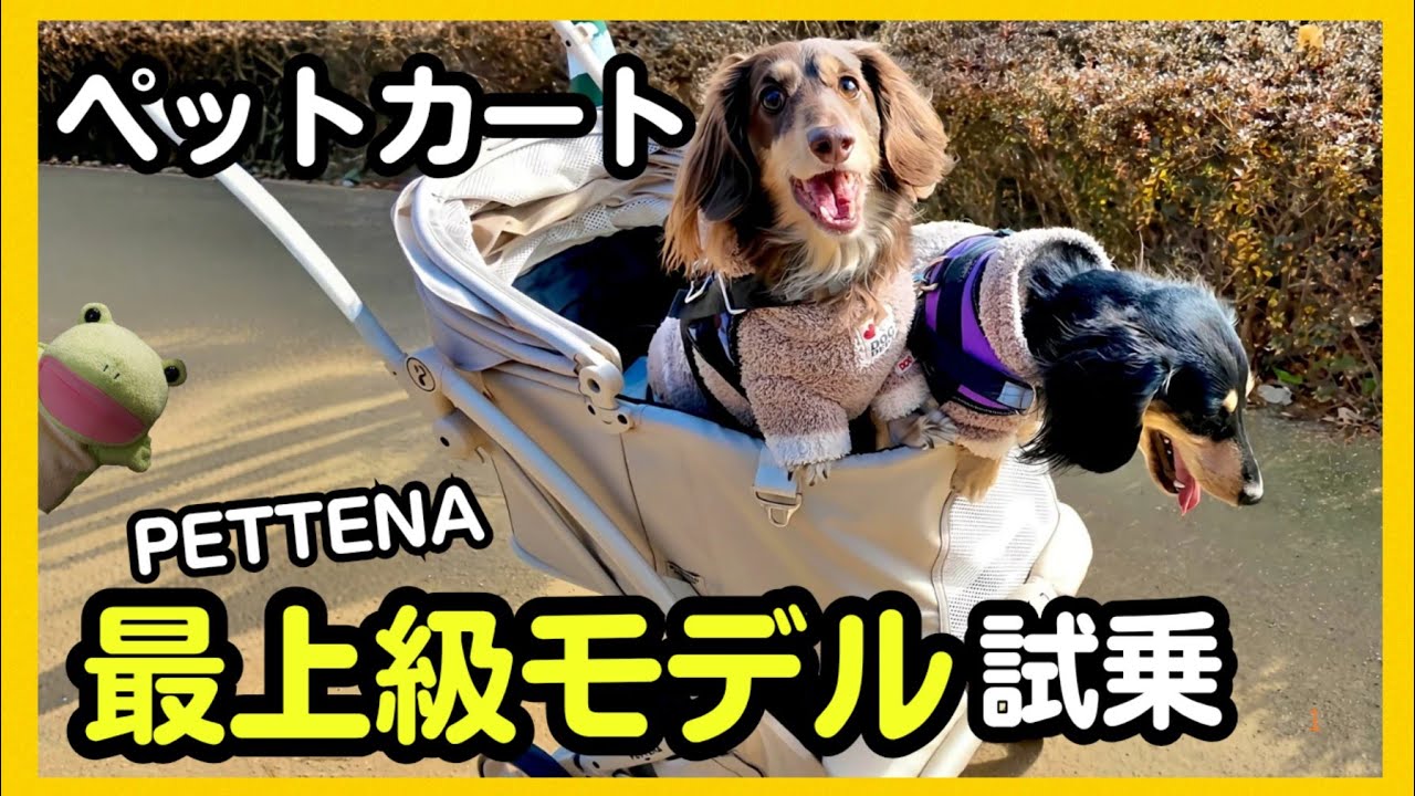 【ペットカート】最上級モデルを使用して分かった事 ｜PETTENA