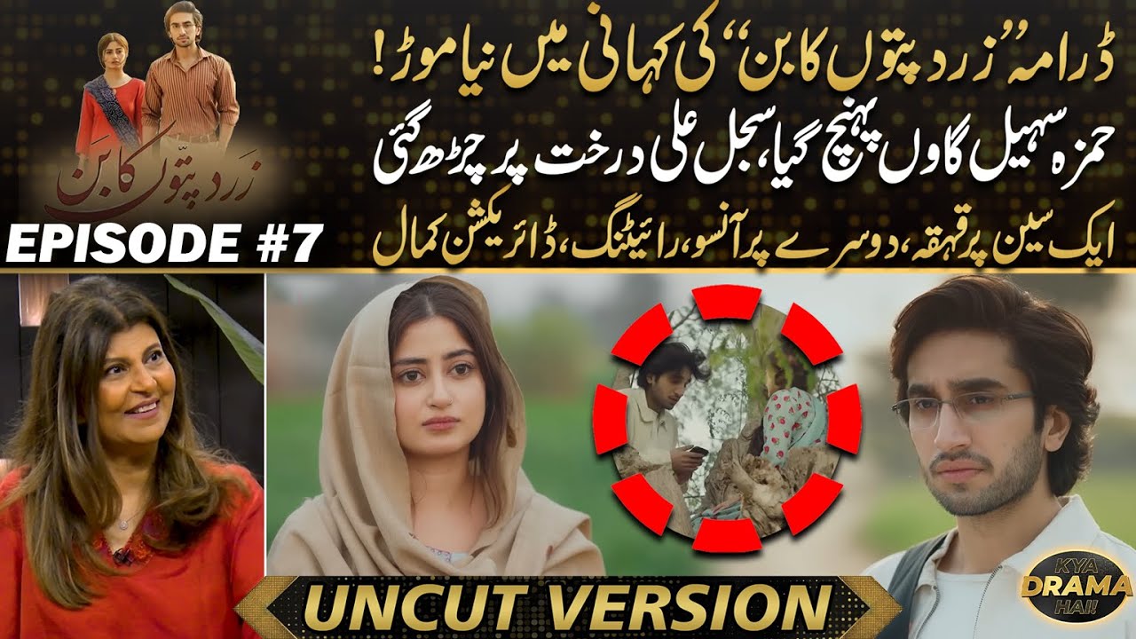 Zard Patton Ka Bunn - Another Twist In Story | Sajal Ali Drakht Pay Charh Gae - Hamza Sohail's Entry