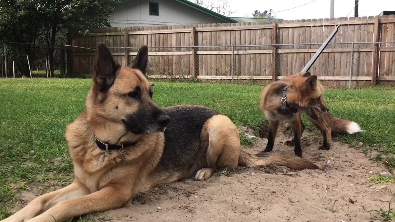 It's Playtime!