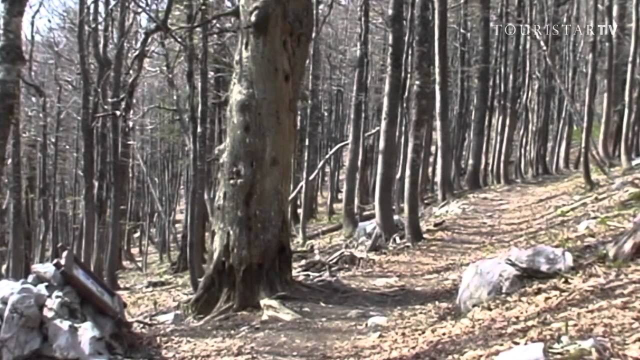 Northern Velebit National Park