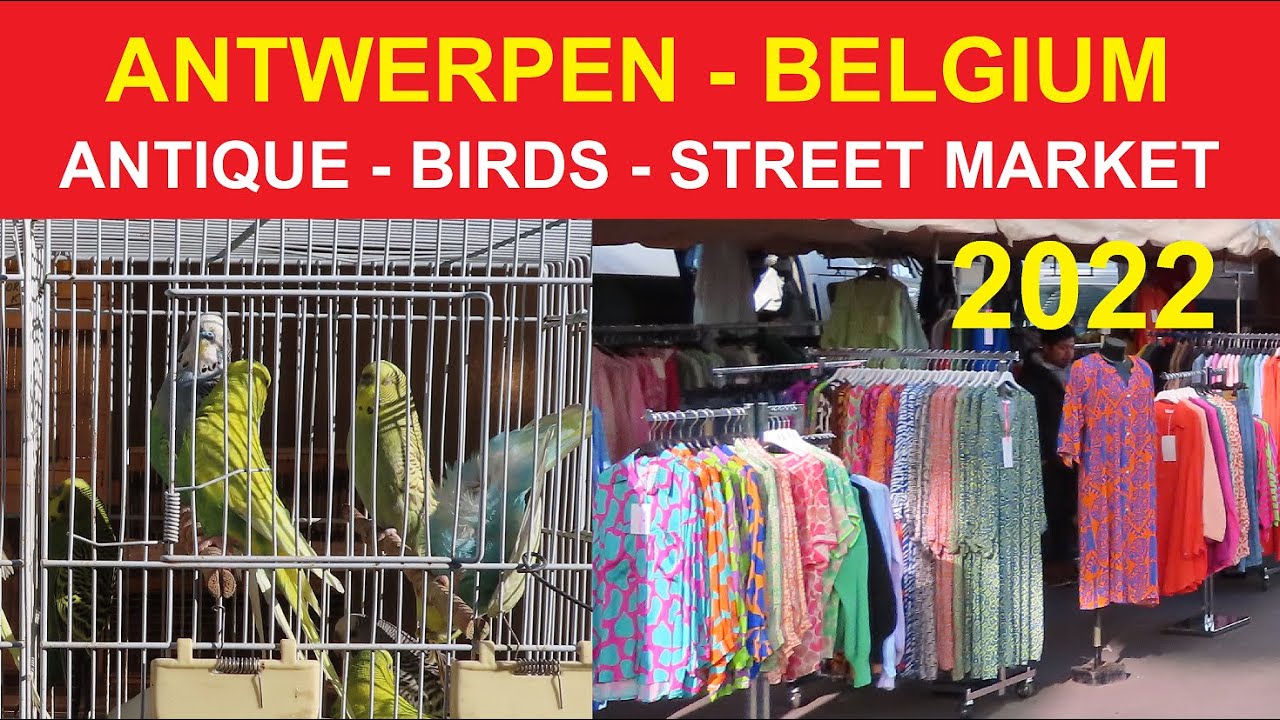 ANTWERPEN / ANVERS  - ANTIQUE - BIRDS MARKET - STREET MARKET ANTWERPEN - BELGIQUE / BELGIE / BELGIUM