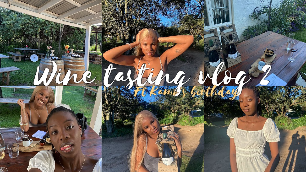 WINEFARM VLOG | birthday + wine tasting + GERAKIS + biltong + horses + vibes | South Africa 🇿🇦