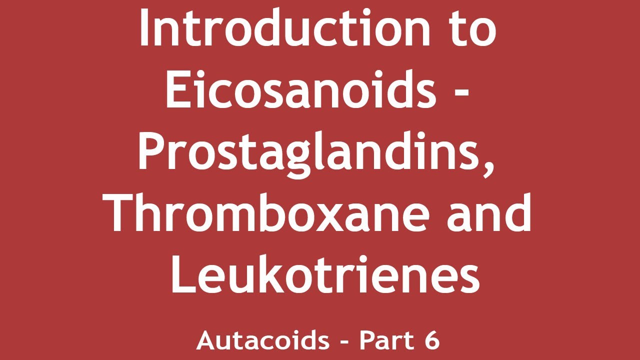 Introduction to Eicosanoids - Prostaglandins, Thromboxane and Leukotrienes (Autacoids Part 6)
