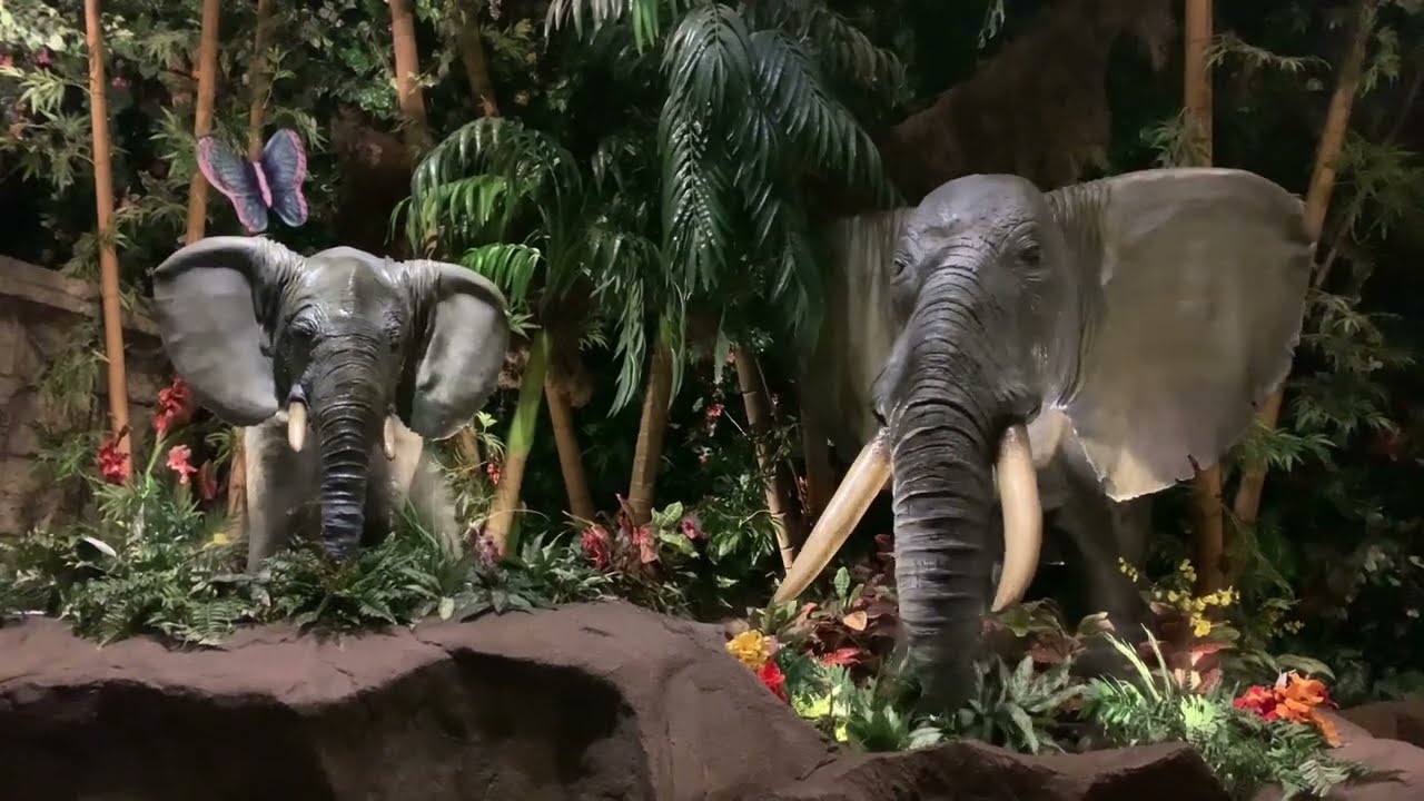 Rainforest Cafe - Tokyo Disney Ikspiari shopping mall