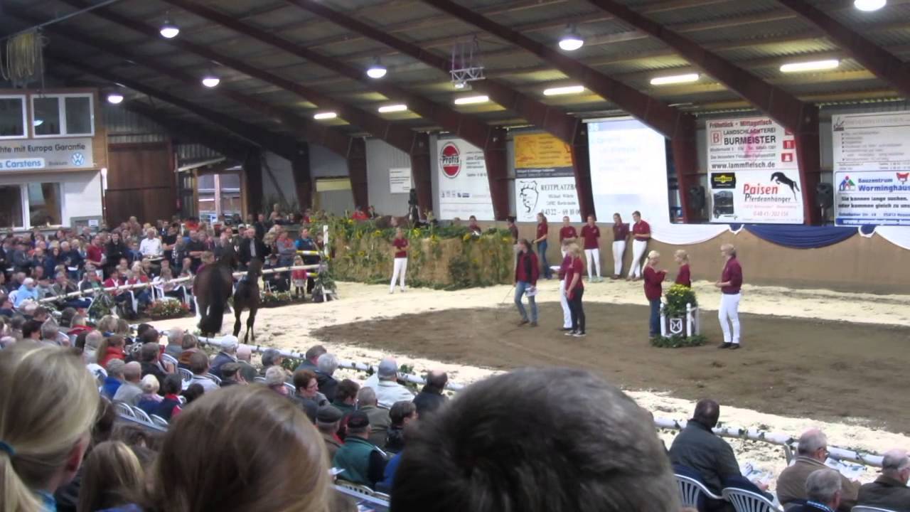 jos wouters holsteiner veiling 27 09 2014 cormint -corrado-atleh z