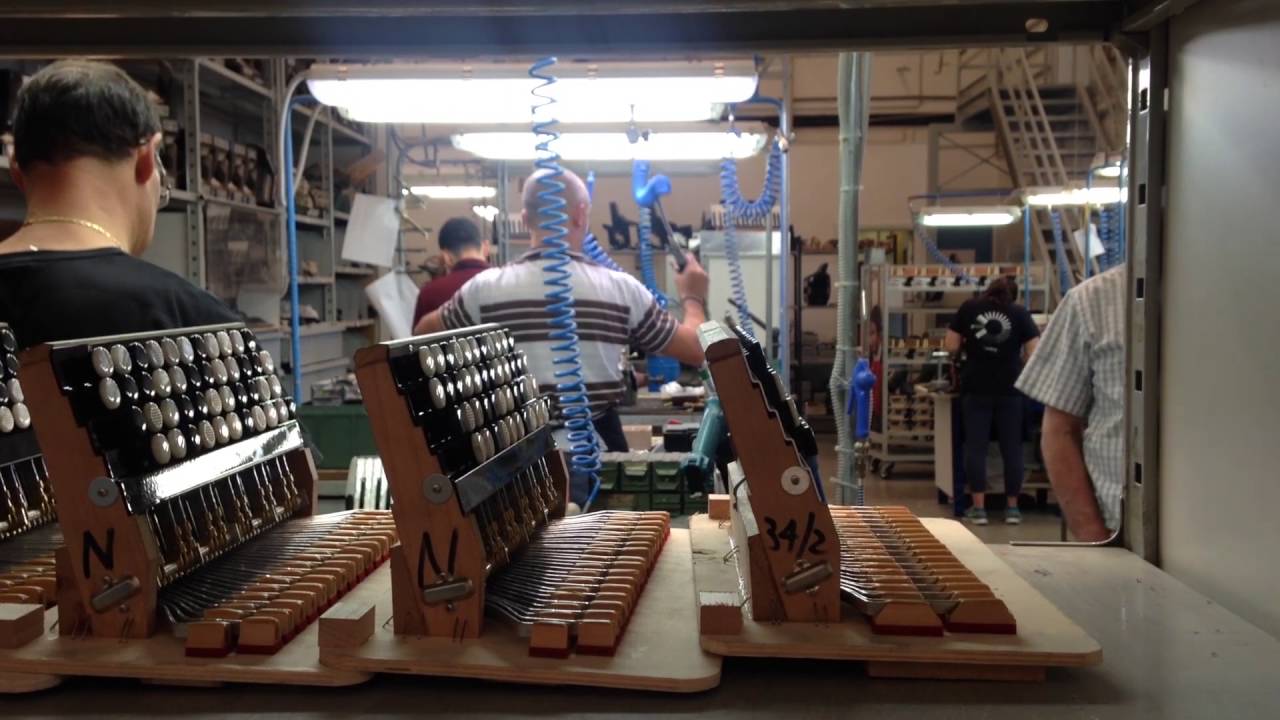 Monsieur Accordeon à Castelfidardo 2016