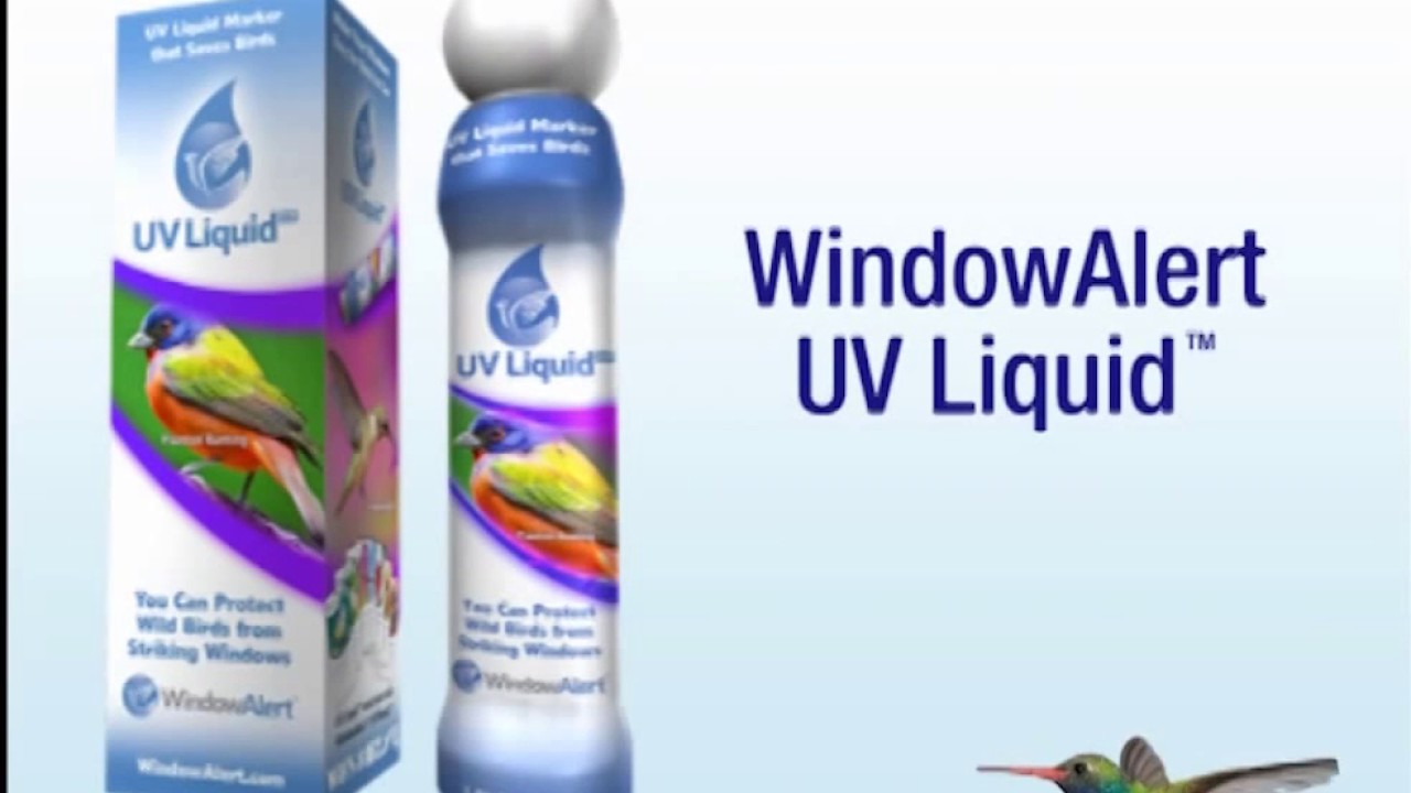 Window Alert UV Liquid protects wild  birds from hitting windows