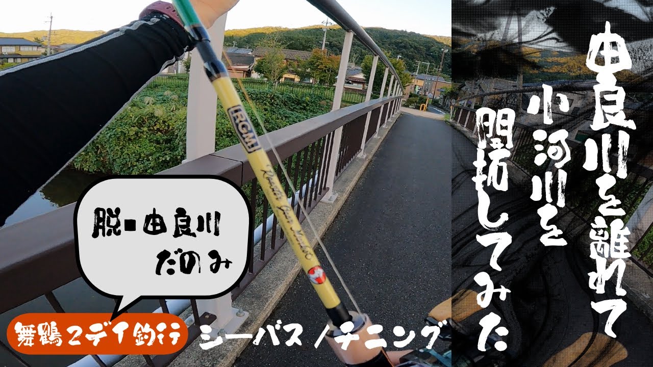 【舞鶴】由良川を離れ小河川開拓でアレがつれた（シーバス＆チニング釣行）[2025年10月中旬]