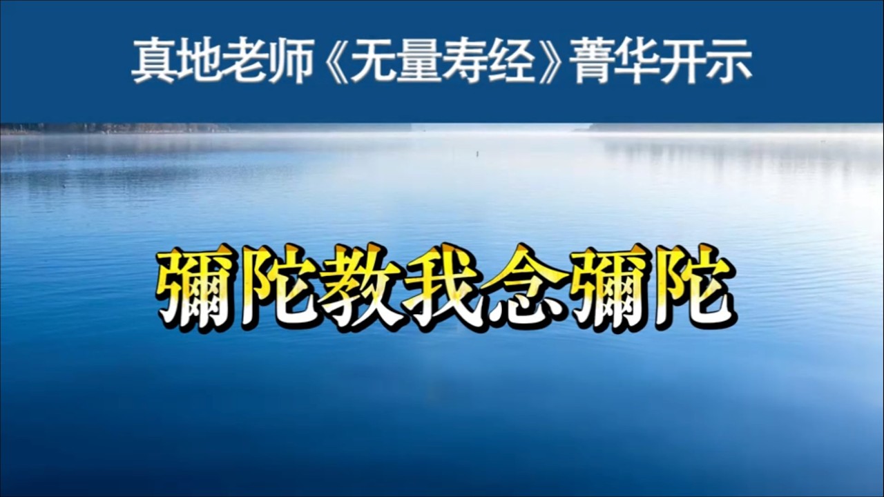 弥陀教我念弥陀 26-068 真地老师《无量寿经菁华开示》