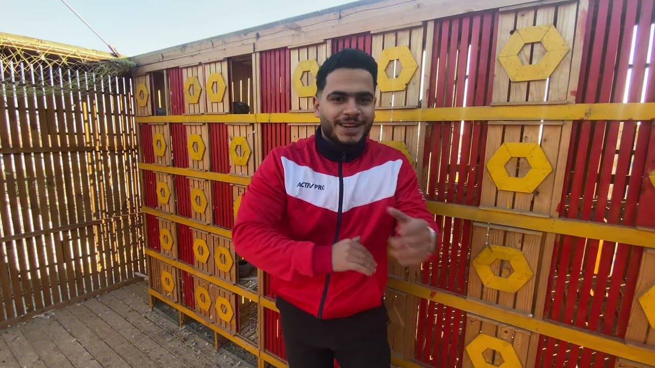 الحمام طلع زي السروخ ف الحرب/ ورد ع التعليقات وكلام من بعد الاخر الي بيفهم بيريح
